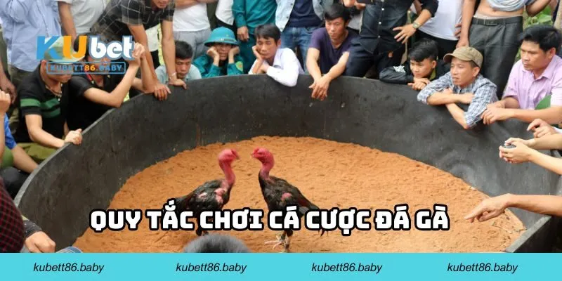Quy tắc chơi cá cược đá gà